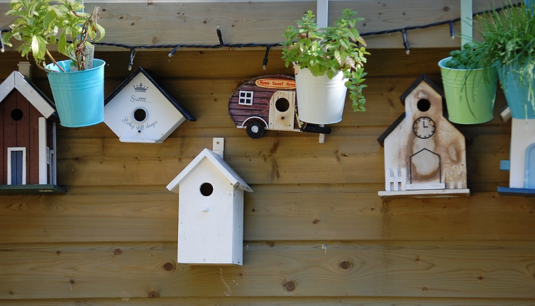 Nistkästen reinigen – sinnvoll oder überflüssig?