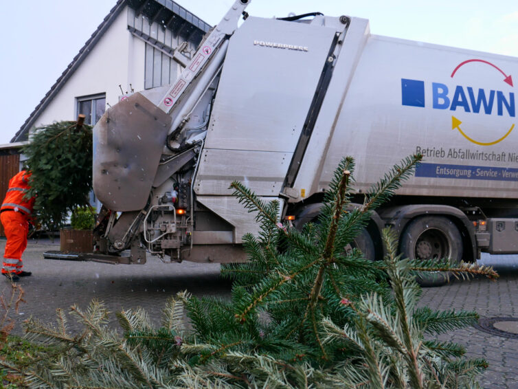 Weihnachtsbäume werden abgeholt
