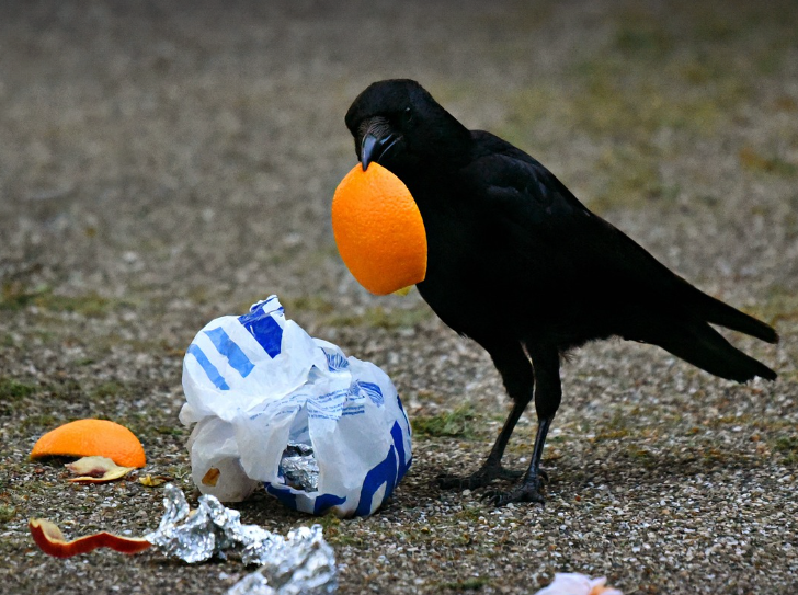 Umwelttag in Binnen am 08.03.2025