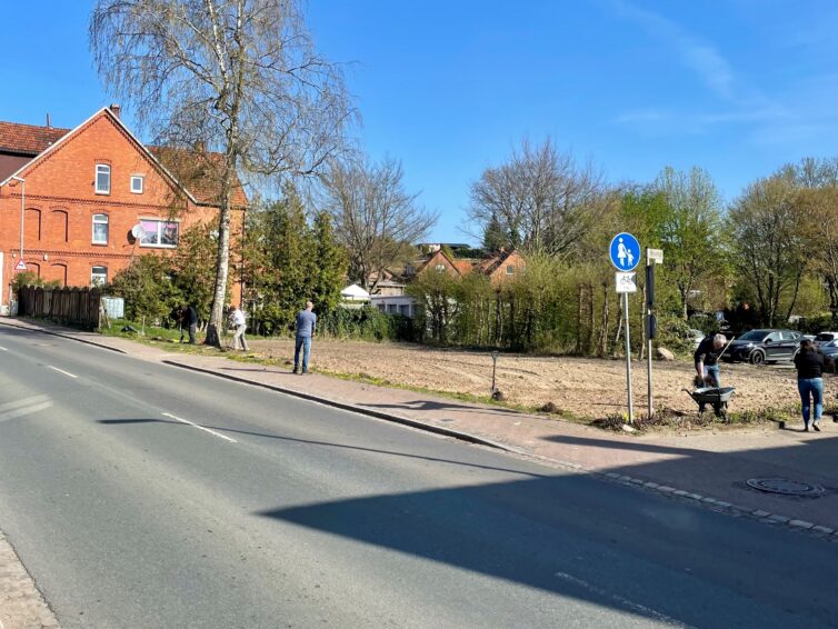 Blühwiese an der Langen Straße in Liebenau
