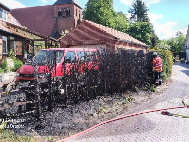 Durch flämmen Lebensbaumhecke in Brand gesetzt